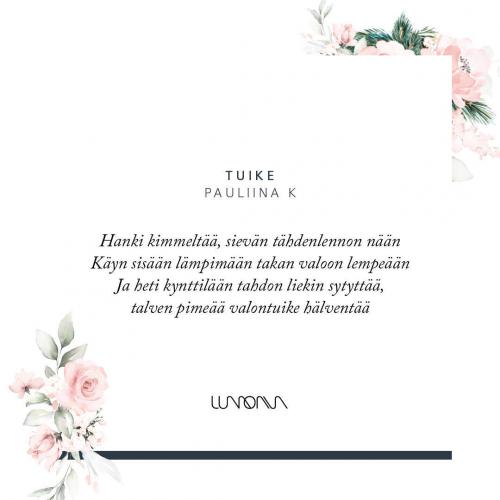 Tuike joulukoriste 2019 teräs