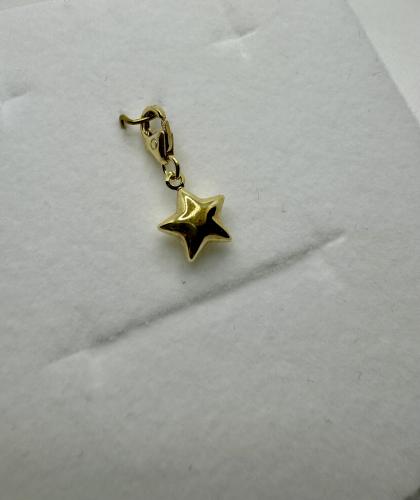 Kultainen maskottiriipus tähti papukaija lukolla