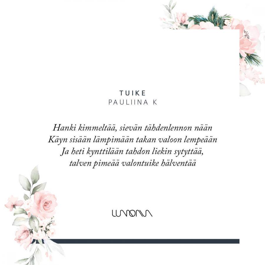 Tuike joulukoriste 2019 teräs